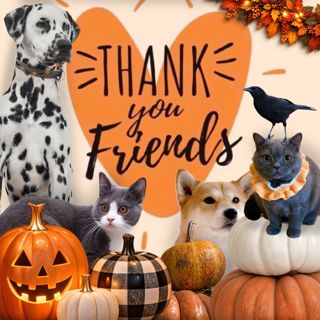 Your support is so meaningful!! Thank you friends!!!🧡🧡🧡
