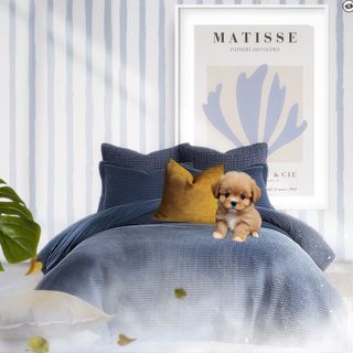 #daily #playful #cozy #bright #relaxation #designgames #dreaminblue