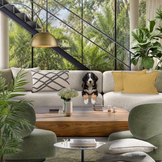 #limited #natureinspired #modernliving #cozyhome #relaxation #designgames #naturesescape