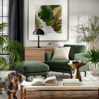 #daily #cozyliving #moderncomfort #plantfilled #relaxation #designgames #warmcomfort