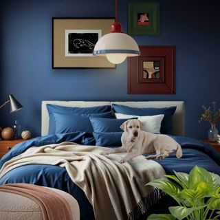 #daily #playful #cozy #bright #relaxation #designgames #dreaminblue
