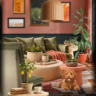 #pro #cozyvibes #homedesign #designgames #artfulliving
