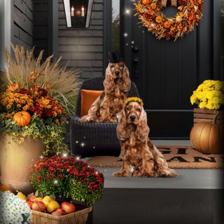 #throwback #halloweendecor #autumnvibes #spookyvibes #designgames #trickortreat